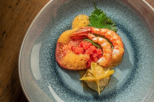 Food_Gourmet1