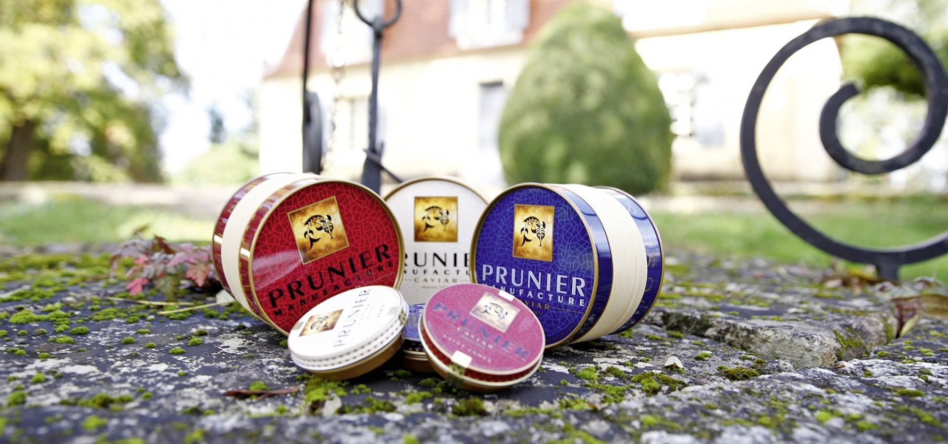 prunier_header