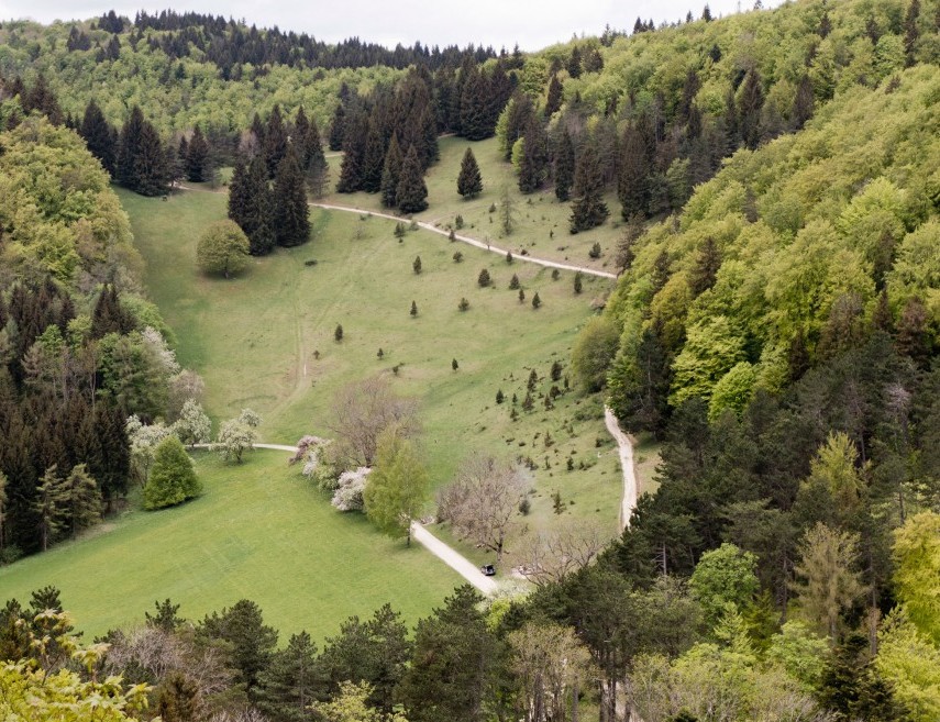 Erbprinz Natur 
