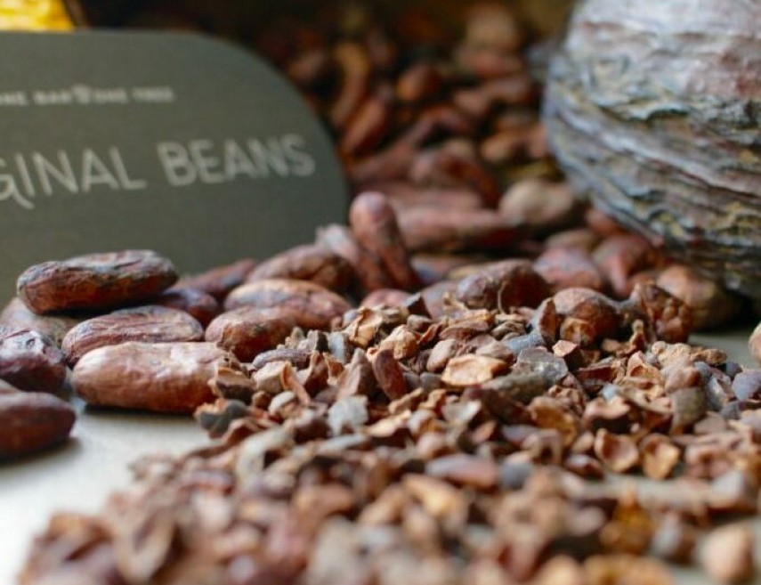 OGBeans
