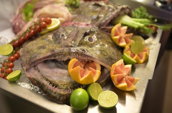 Südfisch