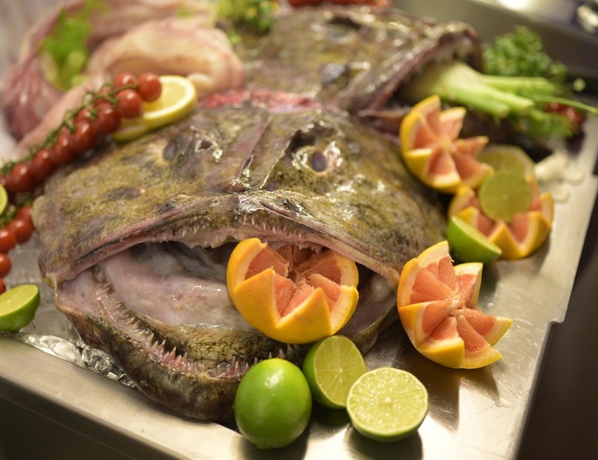 Südfisch