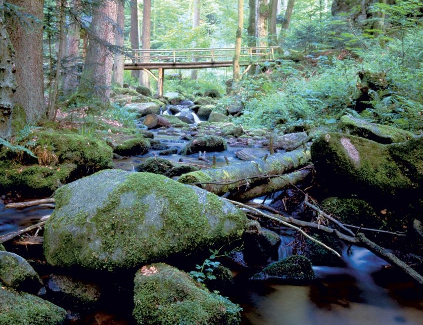Erbprinz Natur