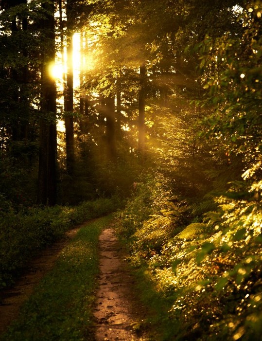 wandern3