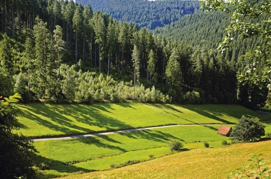 Erbprinz Natur